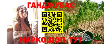 PSILOCYBIN Аргун