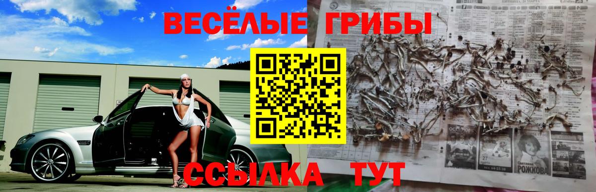 Псилоцибиновые грибы Magic Shrooms Белореченск